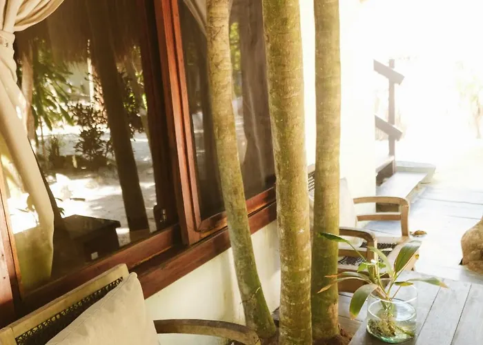 Casa Violeta Hotel 3*
