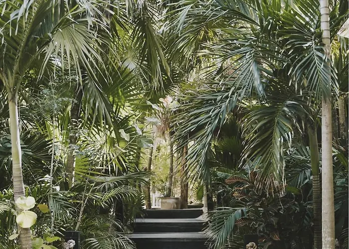 Casa Violeta Hotel 3*