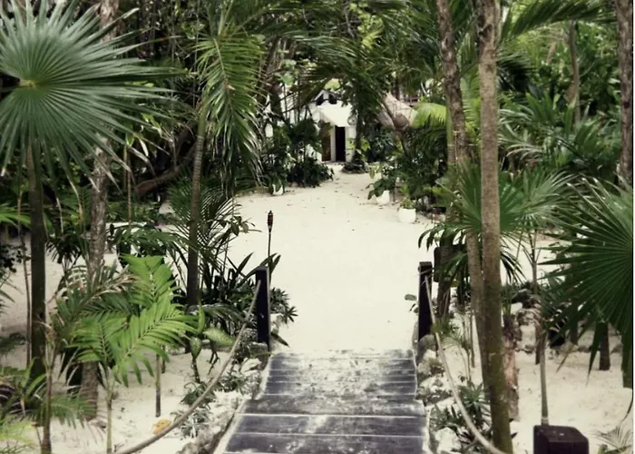 Casa Violeta Hotel 3*