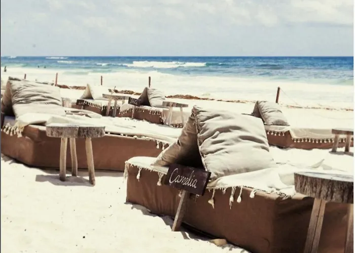 Casa Violeta Hotel Tulum