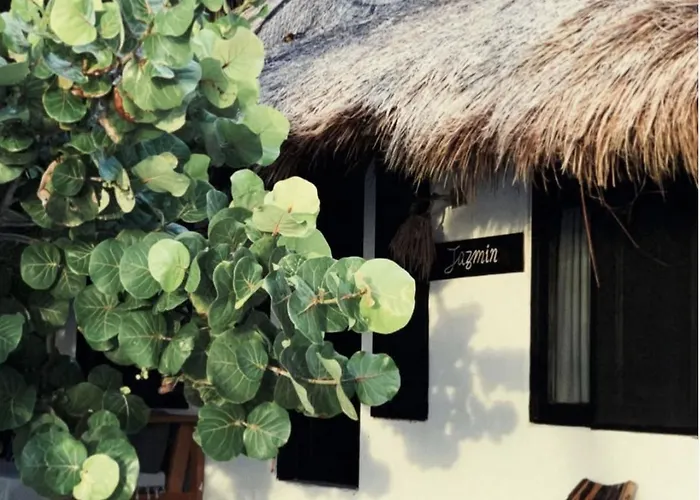 Casa Violeta 3*