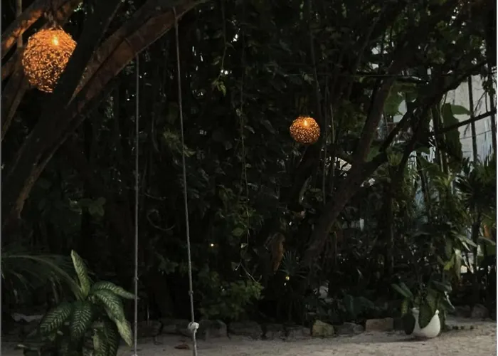 Casa Violeta