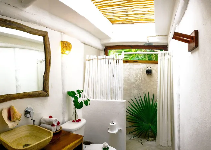 Casa Violeta 3*