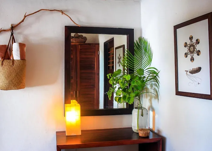 Casa Violeta Hotel 3*