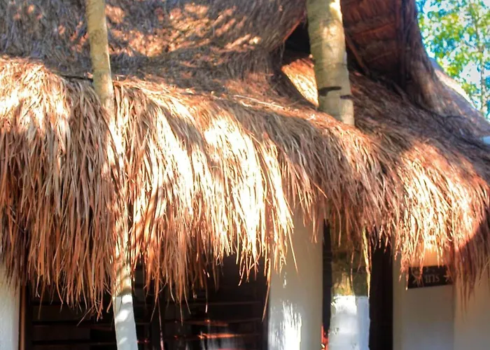 Casa Violeta