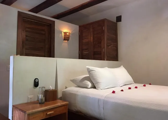 Casa Violeta