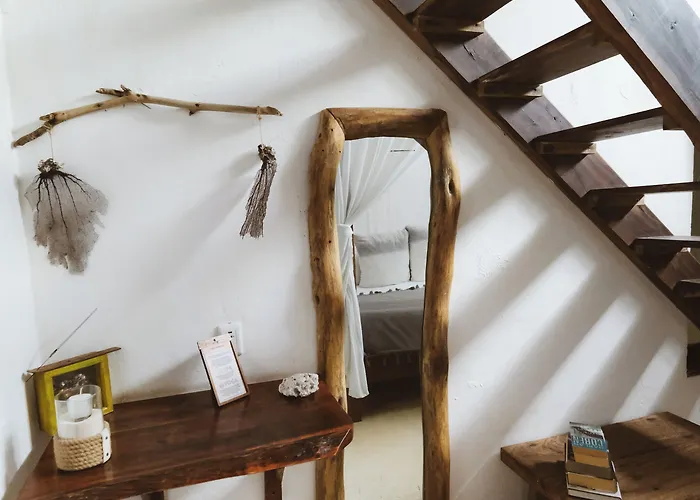 Casa Violeta 3*