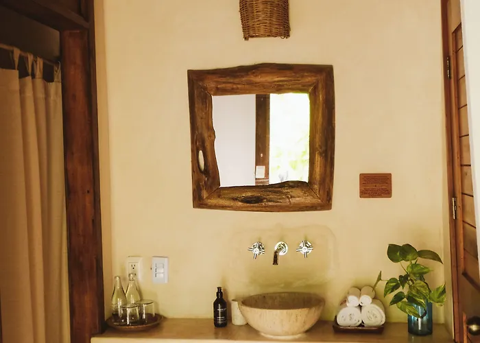 Casa Violeta 3*