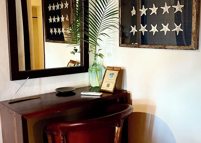 Casa Violeta 3*