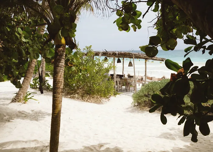 Casa Violeta Hotel
