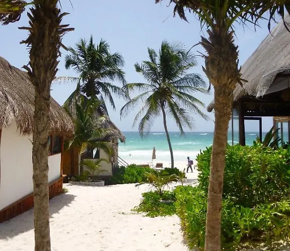 Hotel Casa Violeta Tulum