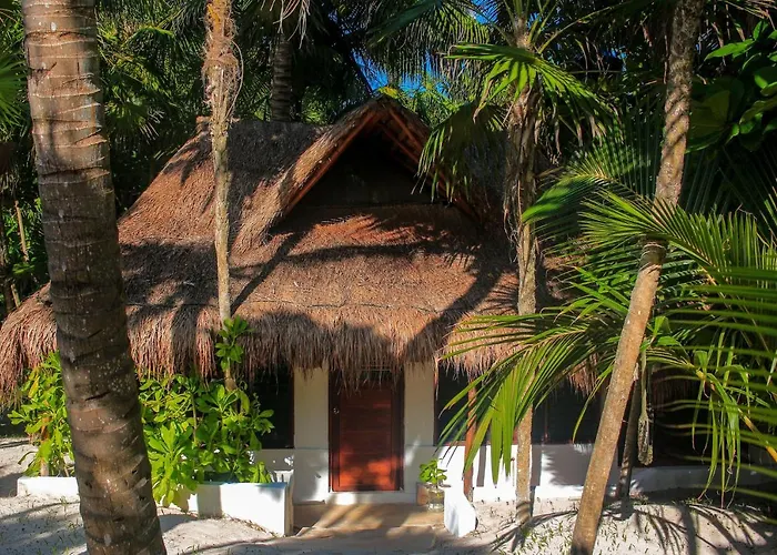 Hotel Casa Violeta 3*